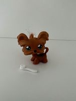 Littlest Pet Shop Spielfigur Hund #6 / Sammelfigur LPS Hessen - Hanau Vorschau