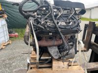 Motor Audi Q7 VW Touareg 3.0 BKS Komplett lager schaden Bayern - Stammbach Vorschau