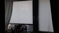 2 weisse Plissee von deutschem Markenhersteller. Cosiflor System Frankfurt am Main - Nordend Vorschau