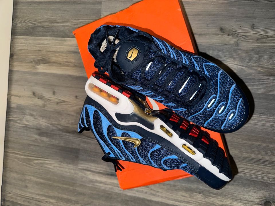 Air Max Plus FFF in Berlin