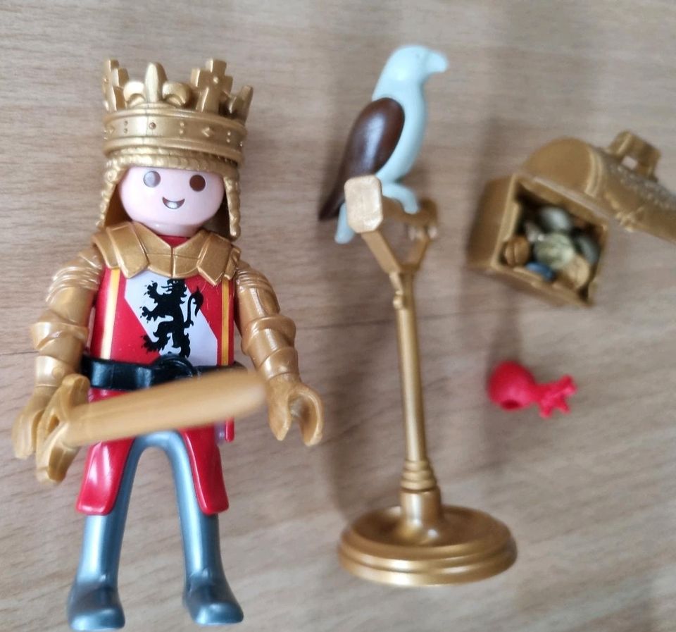 PLAYMOBIL SET Spezial 5725 Löwenritter mit Schatz  gebr. ohne OVP in Goldbach