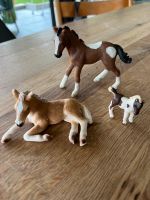 Schleich Fohlen 3 Stück Baden-Württemberg - Heilbronn Vorschau