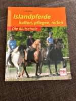 Islandpferde halten, pflegen, reiten Niedersachsen - Alfeld (Leine) Vorschau