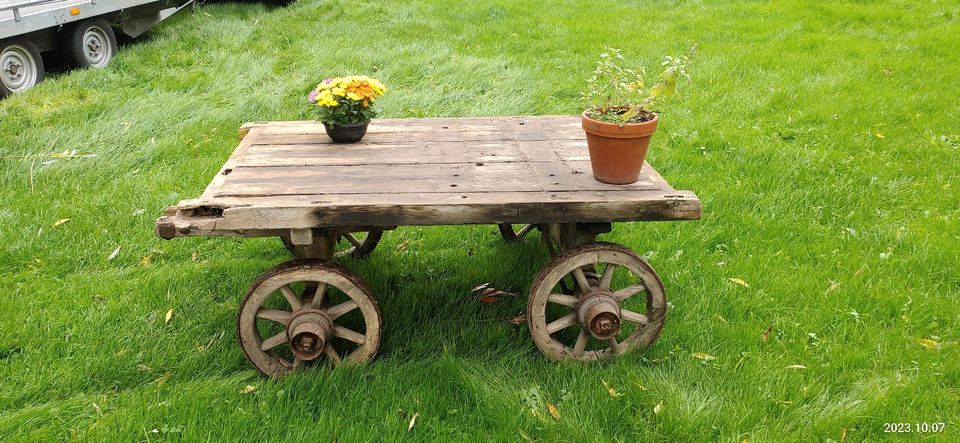 Handwagen Milchkannenwagen aus Massivholz Antik Jahrhundertwende in Meine