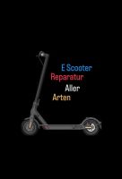 E-Scooter Reparatur/reifen Wechsel (alle Modelle) Niedersachsen - Hameln Vorschau