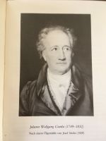 Johann Wolfgang Goethe 12 Bände gebunden. Baden-Württemberg - Mühlhausen Vorschau