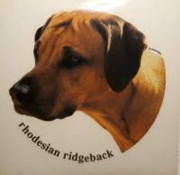 rhodesian ridgeback, aufkleber, sticker...... Baden-Württemberg - Ostfildern Vorschau