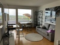 1-Zimmer Apartment (möbliert) mit Alpenblick im Münchner Süden München - Sendling-Westpark Vorschau