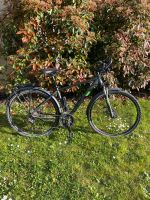 Cube Cross Allroad Herren 28 Zoll 46cm iridium ‚n‘ Green Speyer - Dudenhofen Vorschau