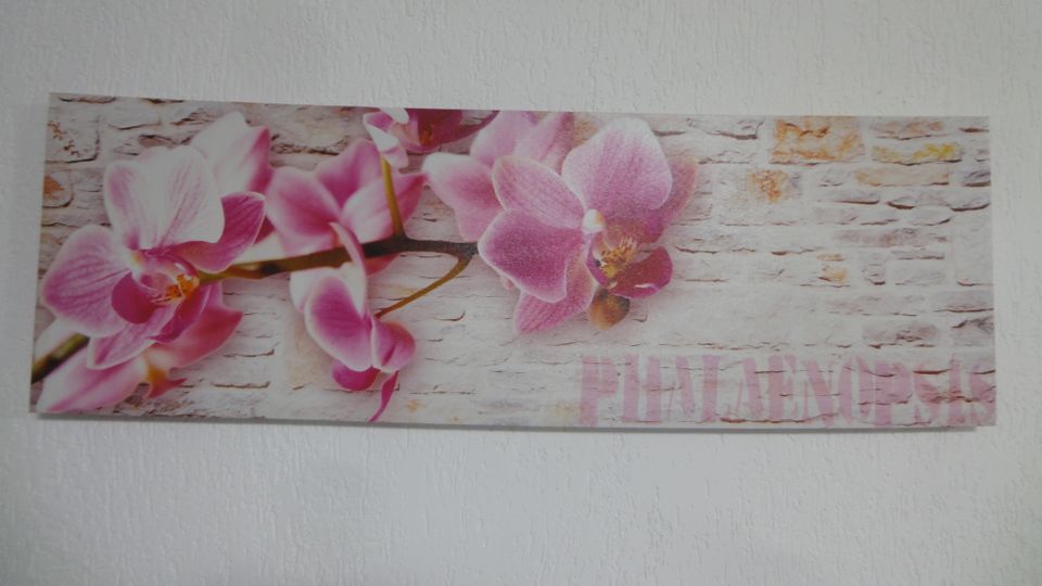 Bild Wandbild Orchidee Blume Wanddekoration Dekoration rosa NEU in Ühlingen-Birkendorf