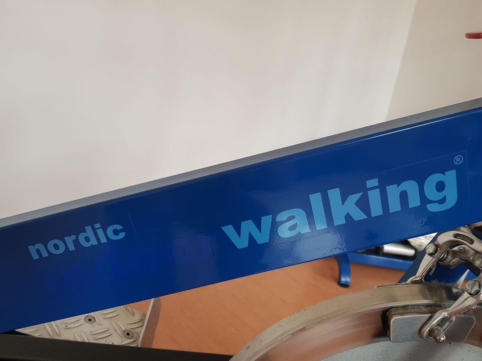 Kodin Nordic Walker Indoor (stromlos) in Regensburg