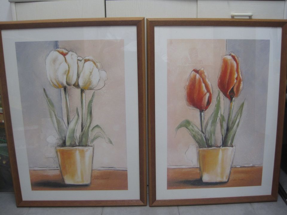 2 Holzrahmenbilder Motiv Blumen Tulpe 55*75 cm TOP Zustand in Bruchköbel