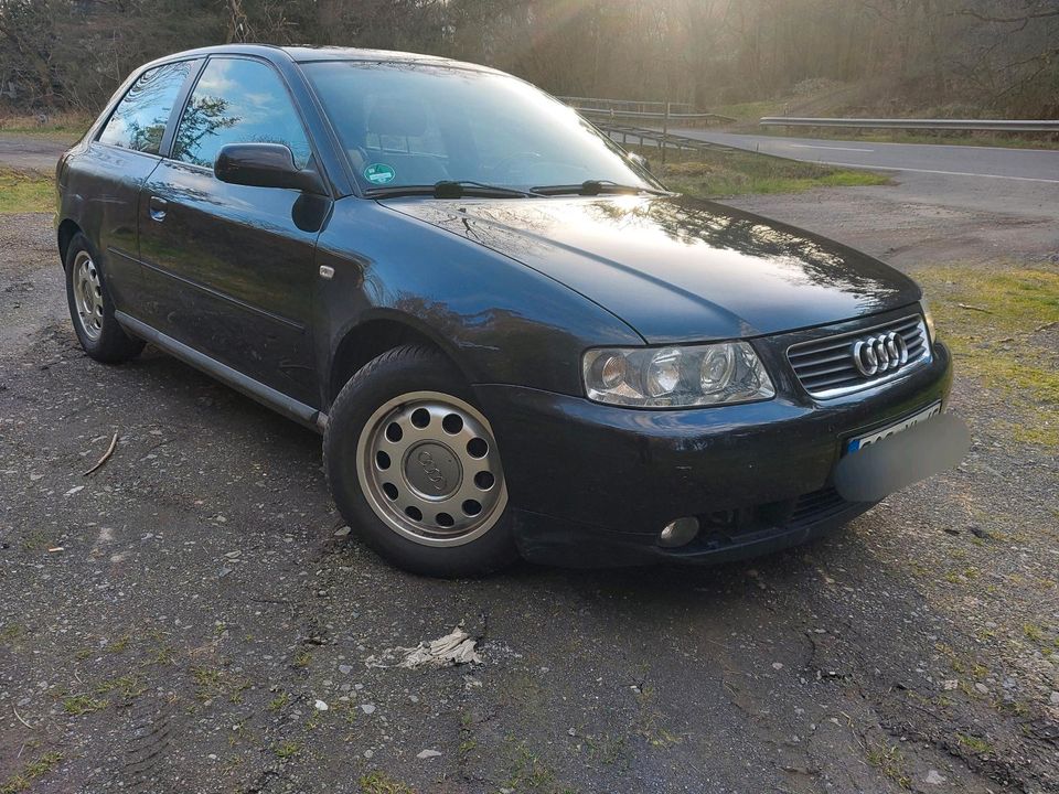 Audi A3, 8L, 1,6, 102 PS in Gevenich Eifel