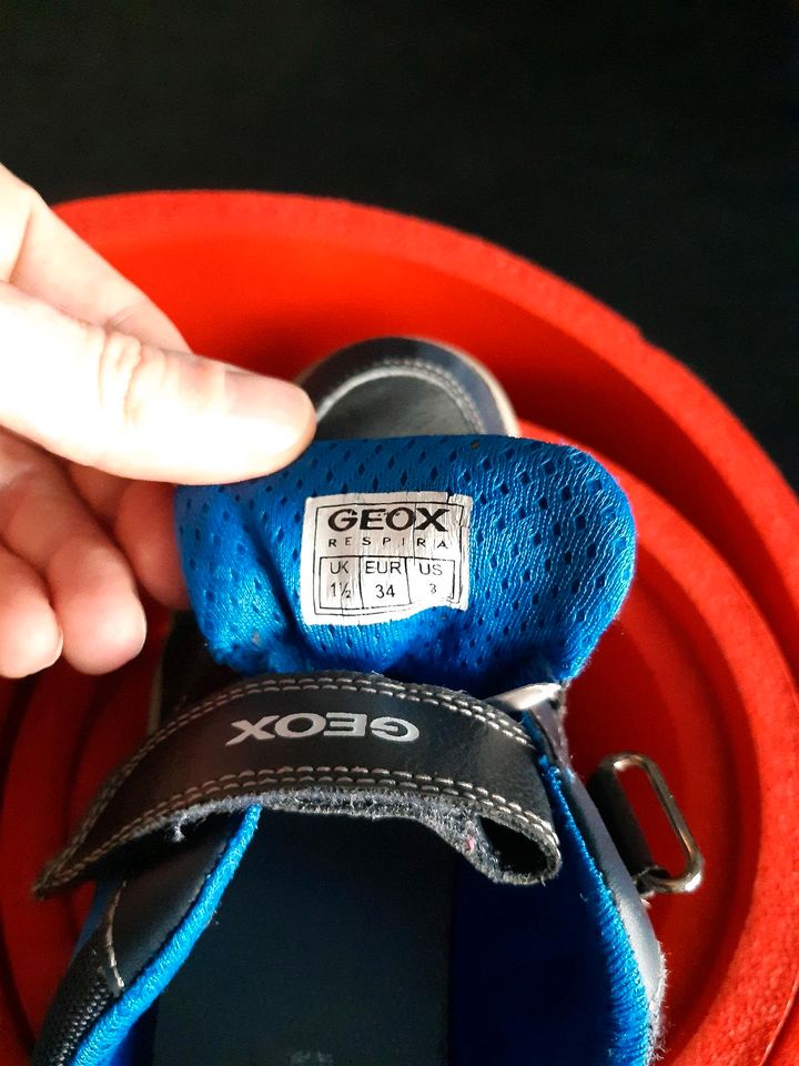 GEOX Sneaker  Gr.33 In Sehr gute Zuschtand. in Berlin