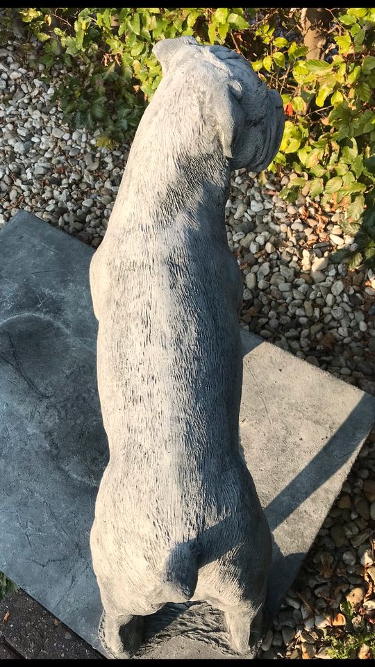 Boxer Lebensgroß 120kg 75cm Hund Steinguss Rüde Welpe Steinfigur in Magdeburg