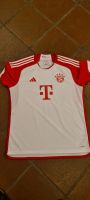 Bayern München Adidas Heimtrikot 2023/24 Trikot XL weiß/rot Bayern - Hausham Vorschau