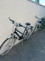 Fahrräder von Peugeot Niedersachsen - Hildesheim Vorschau
