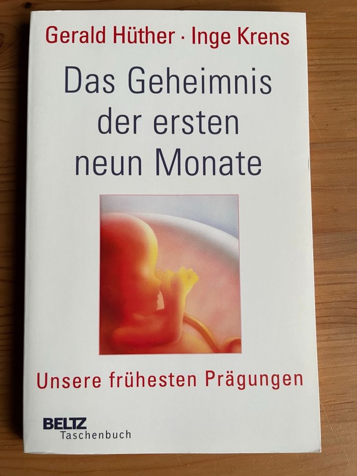Buch Schwangerschaft Geheimnis neun Monate Hüther in Braunschweig