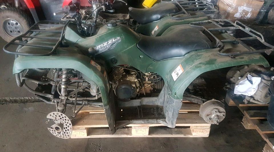 Suche Yamaha Big Bear Kodiak Bruin 250 350 400 450 700 in Petershagen