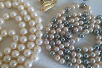 Vintage Konvolut "Perlen" Halskette Brosche AmD Gold Modeschmuck Niedersachsen - Osnabrück Vorschau