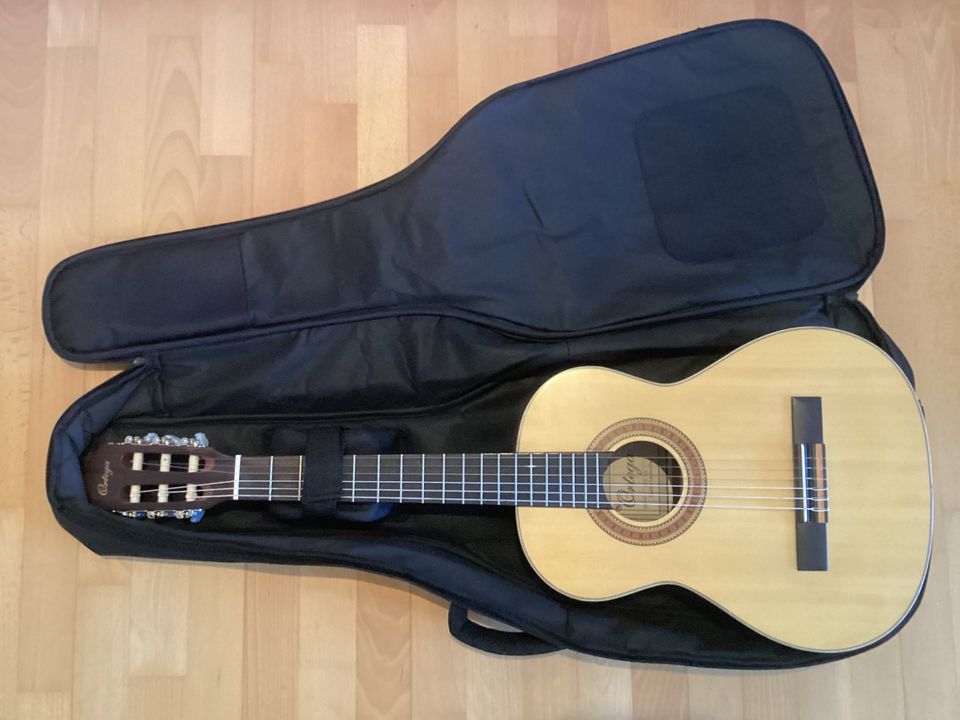 Ortega R121 3/4 Gitarre in Löhne