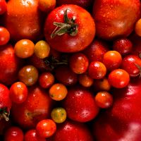 Tomatenpflanzen - viele verschiedene Sorten Bayern - Weil a. Lech Vorschau