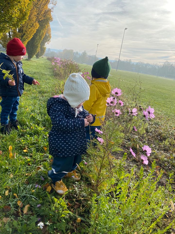 NEUERÖFFNUNG Offenau Kleinkindbetreuung Herbst 2024 in Obersulm