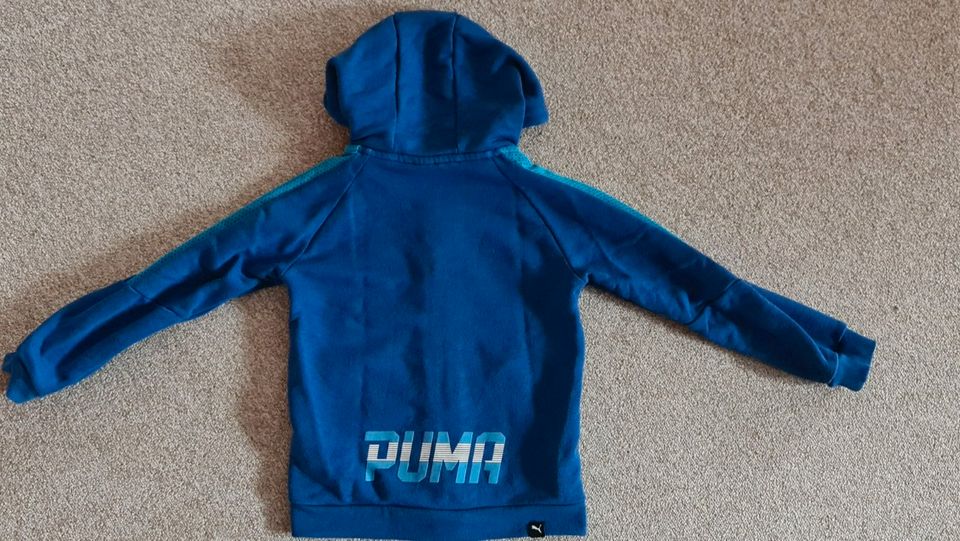 Puma Sweatjacke 116 in Wanfried