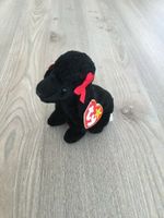 Beanie Baby TY Pudel Gigi Hessen - Kiedrich Vorschau