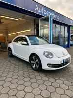 VW Beetle 5c Sport - Tüv Neu - Auto Kiel - Meimersdorf-Moorsee Vorschau