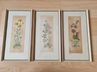 3x Vintage Blumen Bild gerahmt Bilderrahmen signiert Niedersachsen - Wilhelmshaven Vorschau