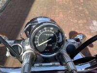 yamaha Virago Nordrhein-Westfalen - Recklinghausen Vorschau