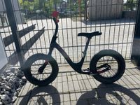 TREK Kinderlaufrad zu verkaufen Thüringen - Heilbad Heiligenstadt Vorschau