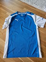 Puma Sportshirt blau / weiß  gr m Nürnberg (Mittelfr) - Aussenstadt-Sued Vorschau