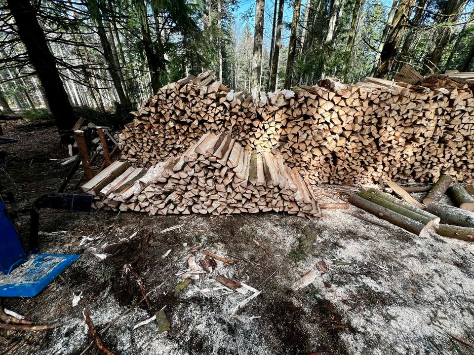 Brennholz ofenfertig Fichte Tanne keine Buche in Schöfweg