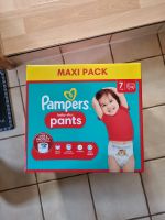 Pampers baby dry Pants Schleswig-Holstein - Mehlbek Vorschau