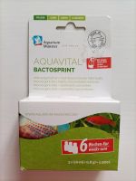 Aquavital Bactosprint Bakterienkultur für Ökosystem im Aquarium Sachsen - Radebeul Vorschau