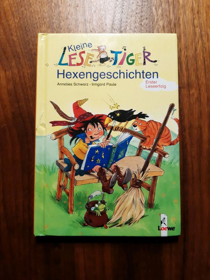 Kinderbücher Buch Lesenlernen Lesestart Duden Tierschule Gespenst in Erligheim