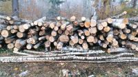 Stammholz Brennholz Kaminholz Niedersachsen - Ummern Vorschau