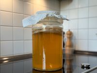 Kombucha /Scoby Dresden - Prohlis-Nord Vorschau