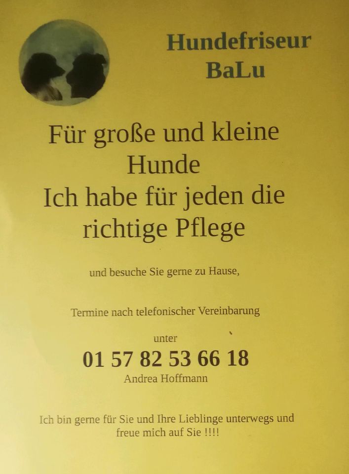 Hundefriseur BaLu in Saarbrücken