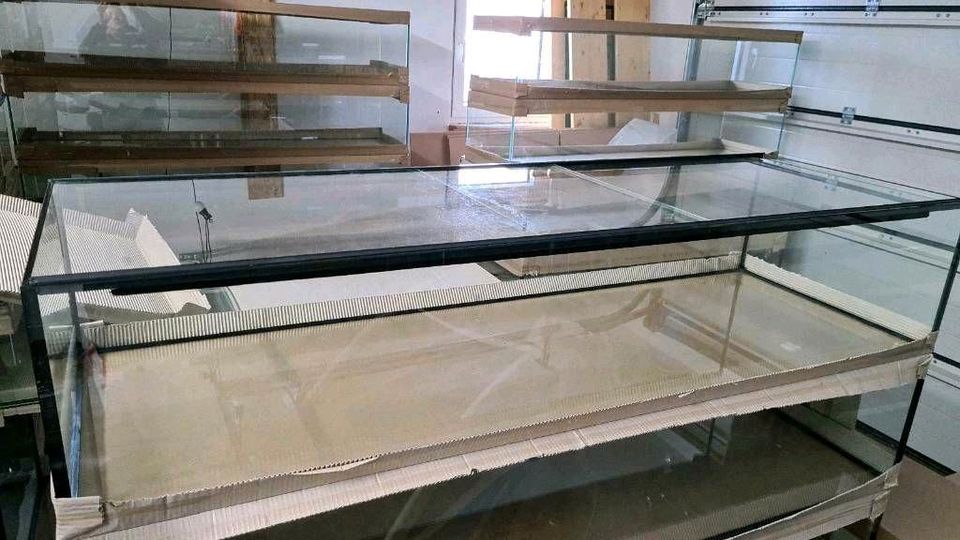 120x50x30 Aquarium 180l L-Wels Axolotl Zuchtbecken NEU in Bad Nenndorf