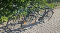 Fahrrad Fahrräder Herrenfahrrad Damenfahrrad Marke Centano 28" Bayern - Atting Vorschau