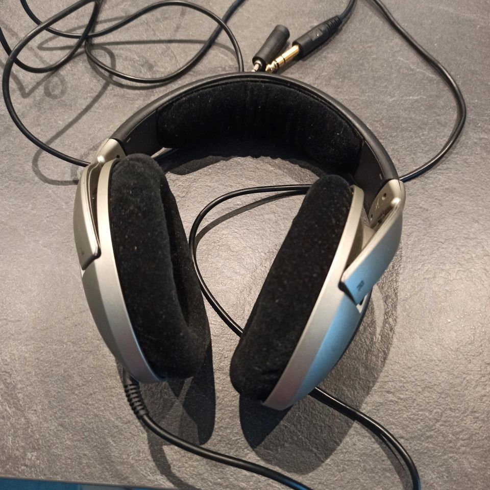 Sennheiser Kopfhörer HD555 in sehr guten Zustand Test Note "gut" in Hennef (Sieg)