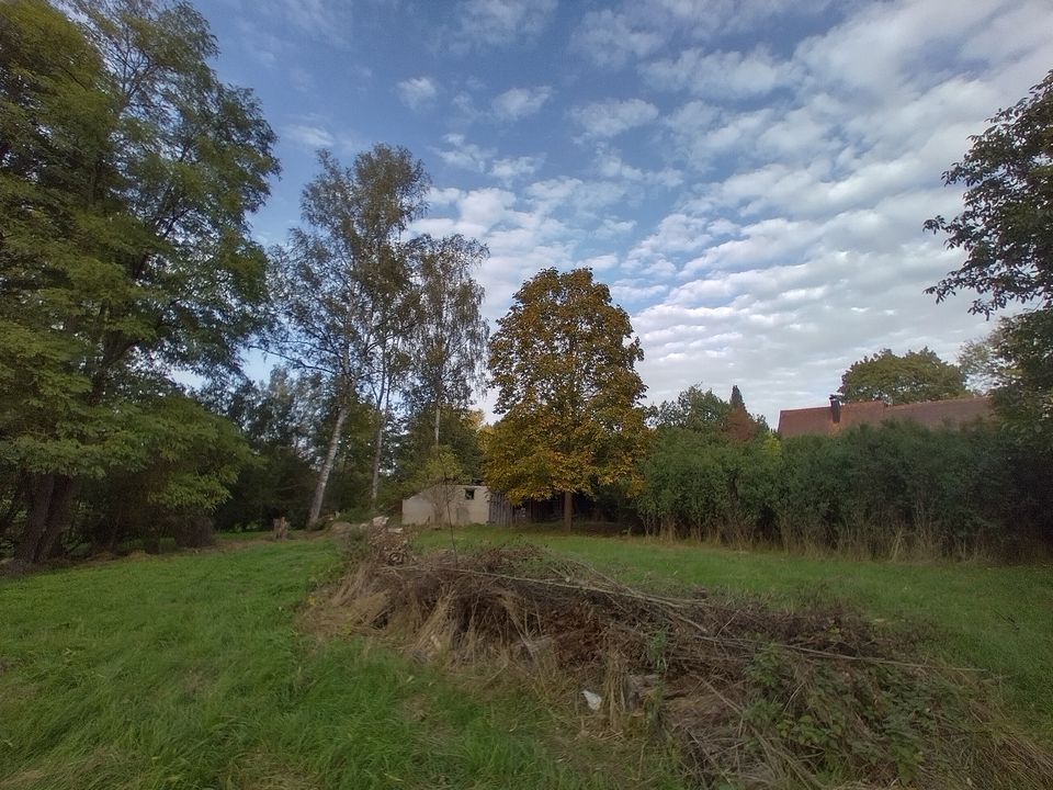 Großes wildes Gartengrundstück zu verpachten in Feuchtwangen