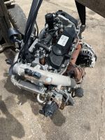 MOTOR FIAT DUCATO 2.3 D & Iveco Überholt bj 2016 F1AFL411 Hannover - Nord Vorschau