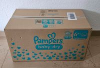 Pampers Baby Dry Monatsbox Gr. 6+ Hessen - Weiterstadt Vorschau