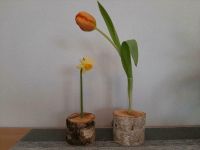 Vase Holz Frühling Deko Dekoration Holz Geschenk Birke Niedersachsen - Westerwalsede Vorschau