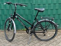 Columbus CS5 Safari Signature Trekking Fahrrad Nordrhein-Westfalen - Langenfeld Vorschau