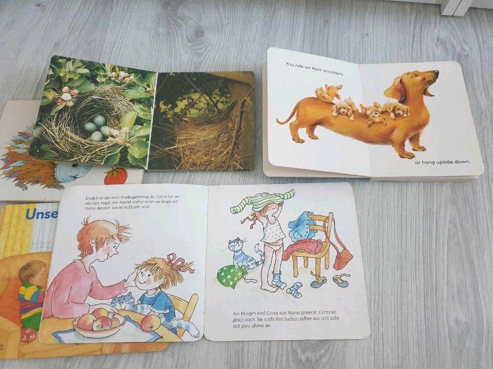 0,50€ Bücher Kinder Carlsen Conni Unser Baby Igel Itzo Hund in Drochtersen